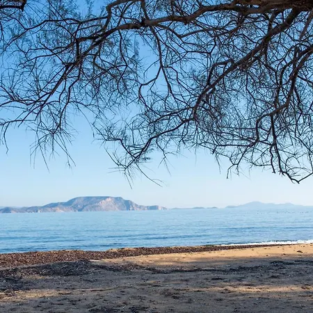 Anthoula's House * Psathi (Ios)